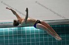 Swimming & Diving vs RWU  Swimming & Diving vs Roger Williams University. - Photo by Keith Nordstrom : Wheaton, Swimming